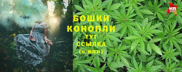 ешки Бронницы